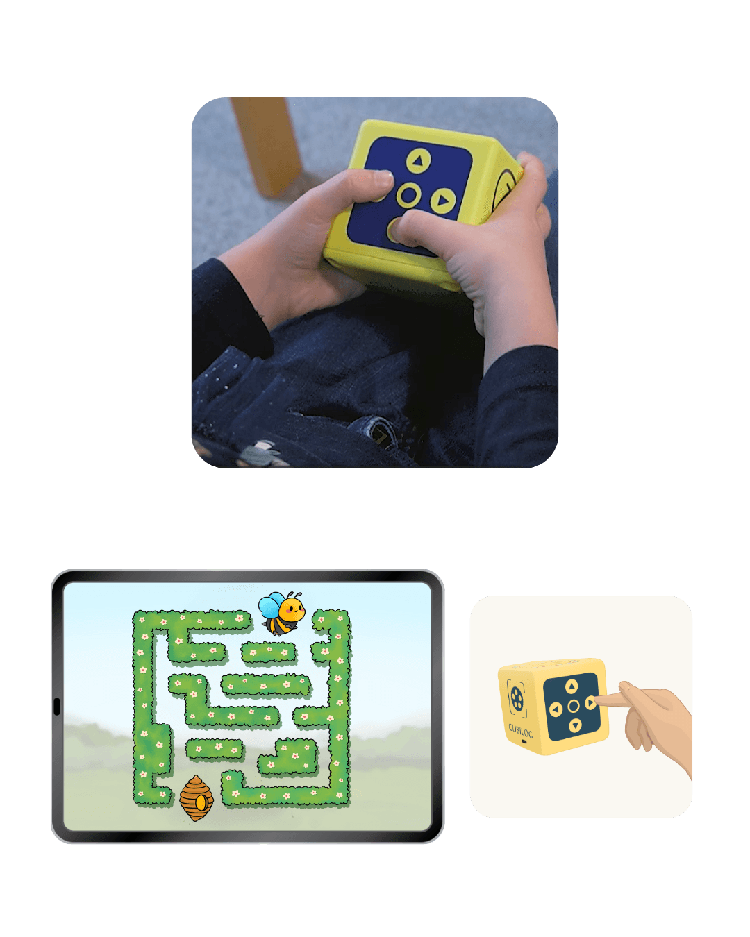 Eine Beschreibung des Bildes